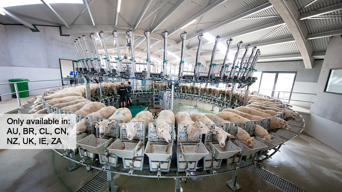 Sala de ordeño rotativa interna para ovejas y cabras