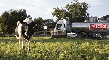 ¿La mejor leche? La de las »vacas felices«